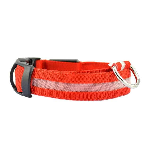 LED Pet Collar for Safety and Visibility – Glow in the Dark