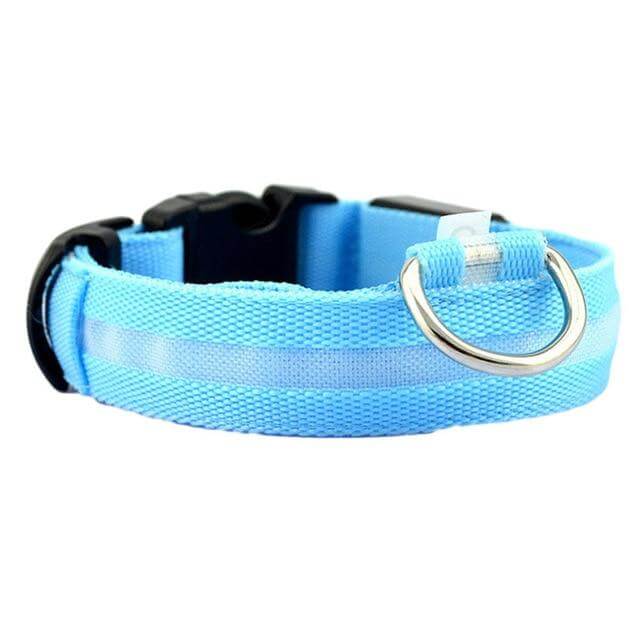 LED Pet Collar for Safety and Visibility – Glow in the Dark