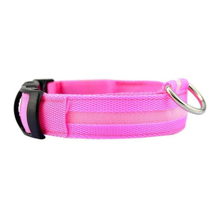 LED Pet Collar for Safety and Visibility – Glow in the Dark