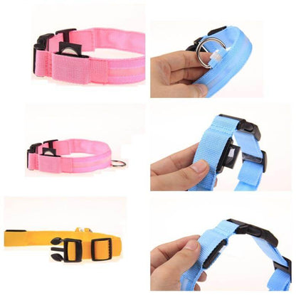 LED Pet Collar for Safety and Visibility – Glow in the Dark