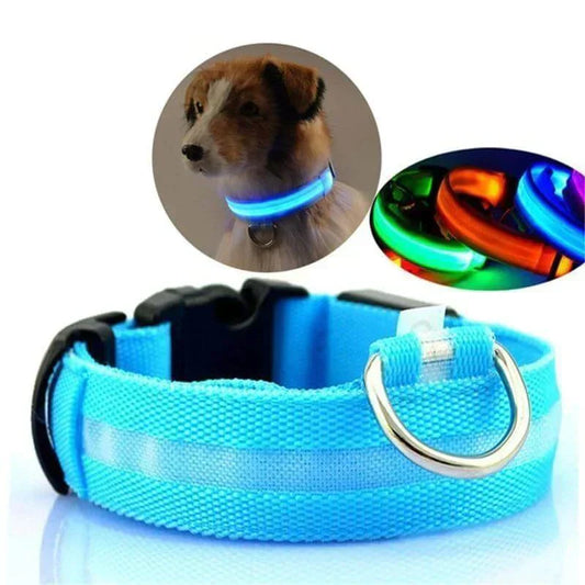 LED Pet Collar for Safety and Visibility – Glow in the Dark