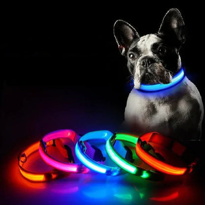 LED Pet Collar for Safety and Visibility – Glow in the Dark