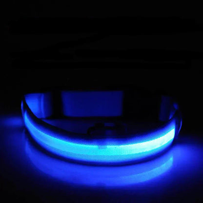 LED Pet Collar for Safety and Visibility – Glow in the Dark