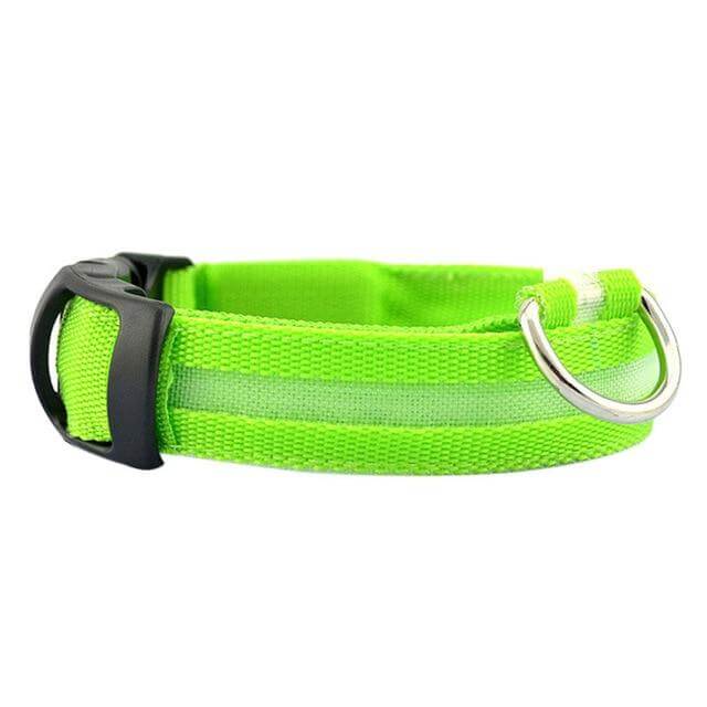 LED Pet Collar for Safety and Visibility – Glow in the Dark