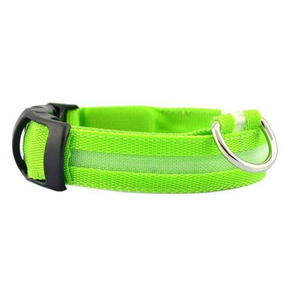 LED Pet Collar for Safety and Visibility – Glow in the Dark
