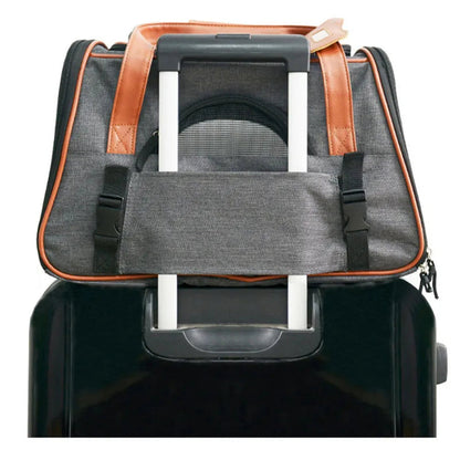 Pet Hiking Gear