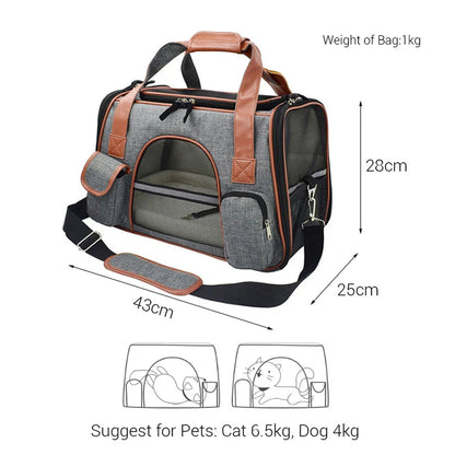 Pet Hiking Gear