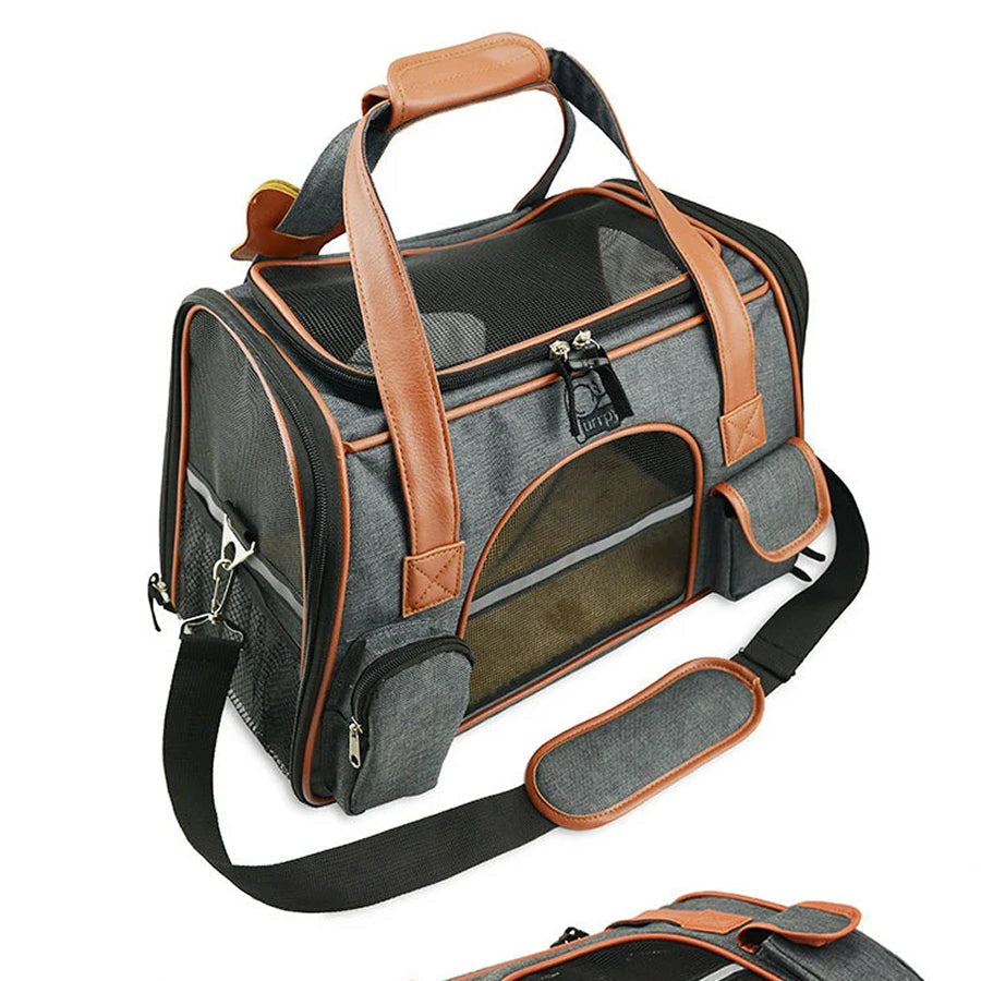 Pet Hiking Gear