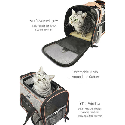 Pet Hiking Gear