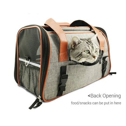 Pet Hiking Gear