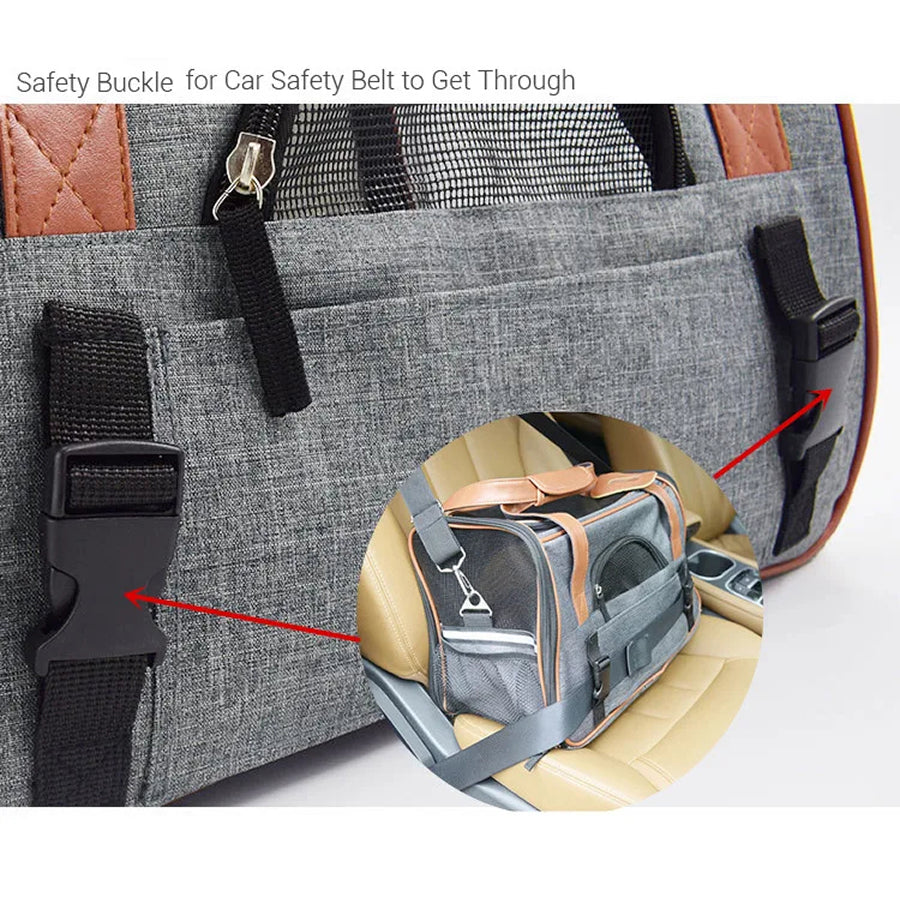 Pet Hiking Gear