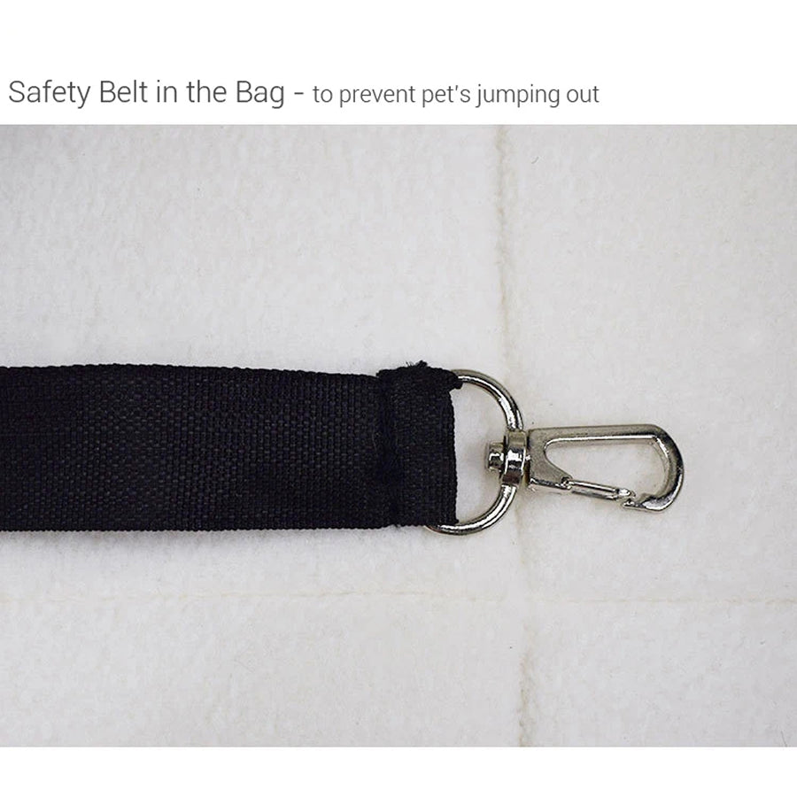 Pet Hiking Gear