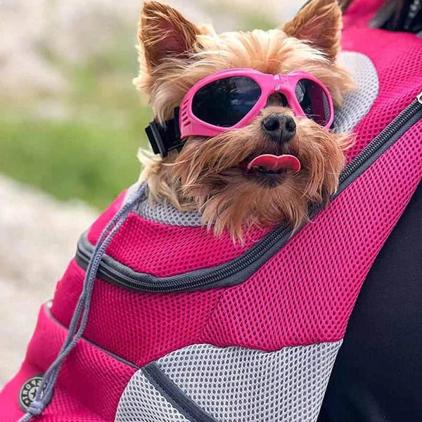 Breathable Mesh Pet Backpack Carrier with Adjustable Straps and Safety Clip for Dogs and Cats
