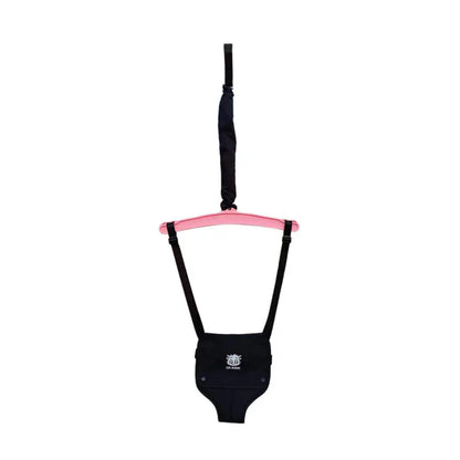 Baby Door Frame Swing Toy