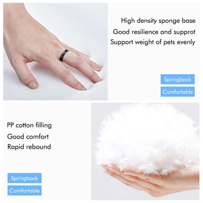 Pill Organizer for Daily Medication Management