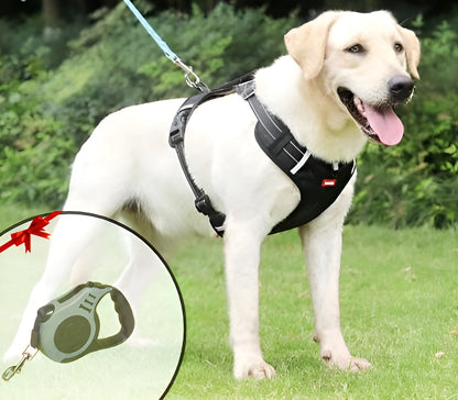 PawEase Soft Dog Harness | Comfort, Safety, and Control