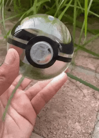 Transform Your Pokémon in Your Sphere - Pokie Bol