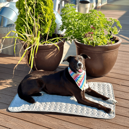 ChillPaw Self-Cooling Mat for Pets – Perfect for Hot Days