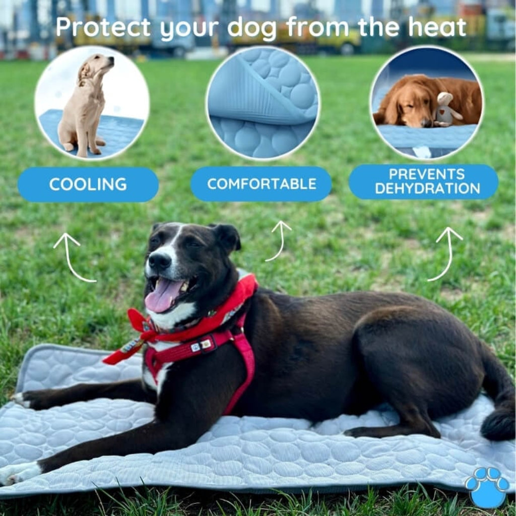 ChillPaw Self-Cooling Mat for Pets – Perfect for Hot Days