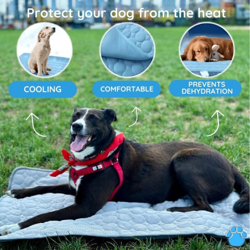 ChillPaw Self-Cooling Mat for Pets – Perfect for Hot Days