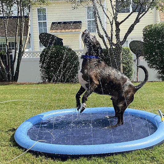 DogSplash - Long-lasting Fun for Your Canine Friend!