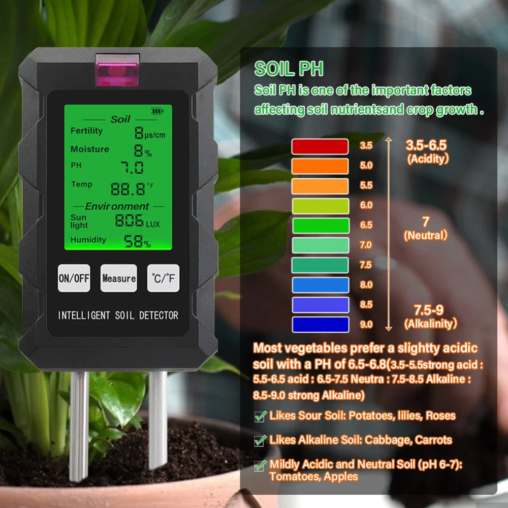 Probe Tool for Professional Use