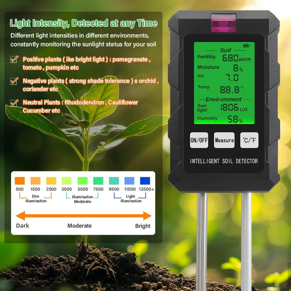 Probe Tool for Professional Use