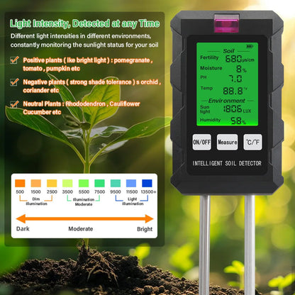 Probe Tool for Professional Use
