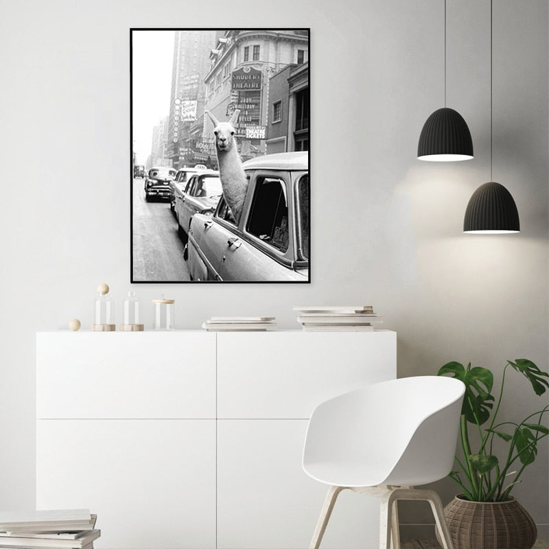 Taxi Canvas Art featuring Alpaca – Wall Decoration