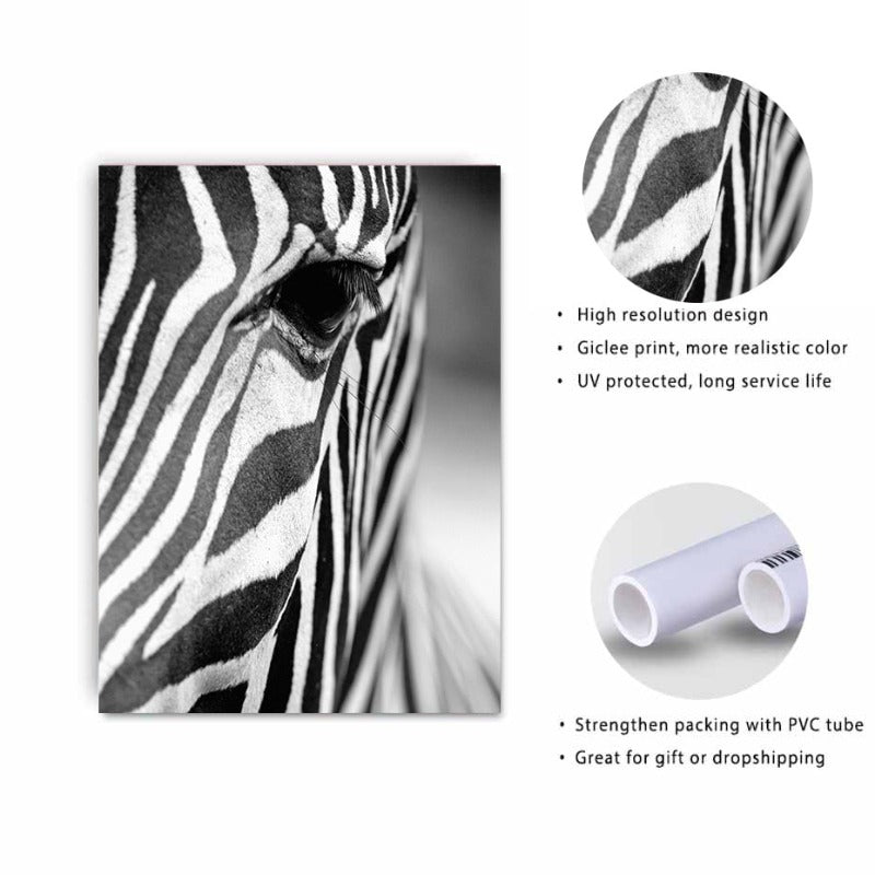 Serene Zebra - Premium Canvas Wall Art for Home Décor