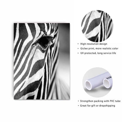 Serene Zebra - Premium Canvas Wall Art for Home Décor