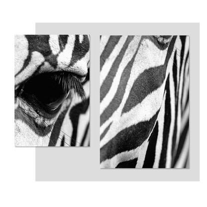 Serene Zebra - Premium Canvas Wall Art for Home Décor
