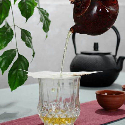 2-Pack Natural Leaf Tea Infusers | LeafEssence