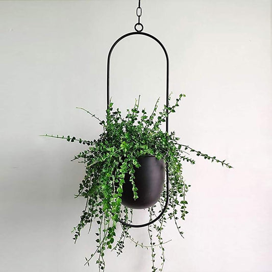 Elegant Metal Plant Holder for Wall or Ceiling – FloraFrame