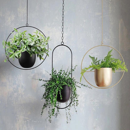 Collection of Stylish Hanging Pots for Plants