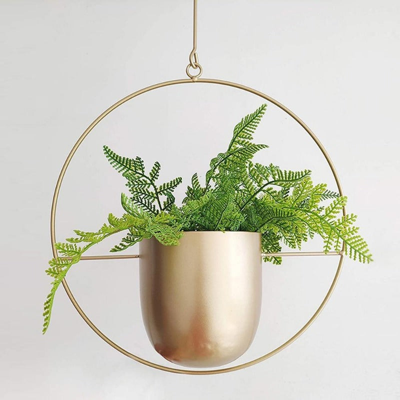 Collection of Stylish Hanging Pots for Plants