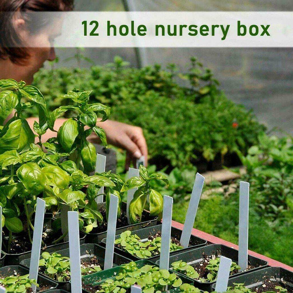 12-Cell Adjustable Seedling Planting Tray