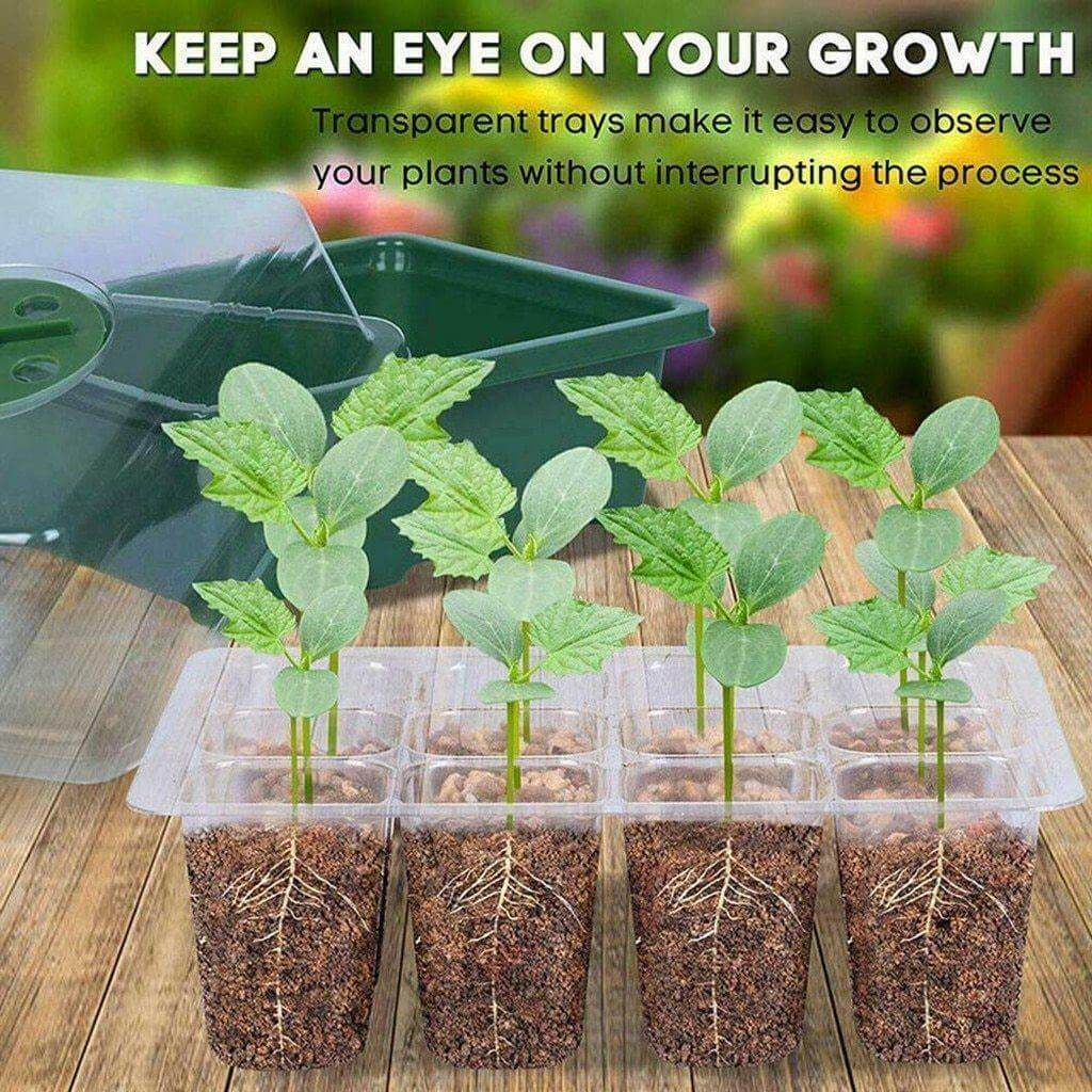 12-Cell Adjustable Seedling Planting Tray