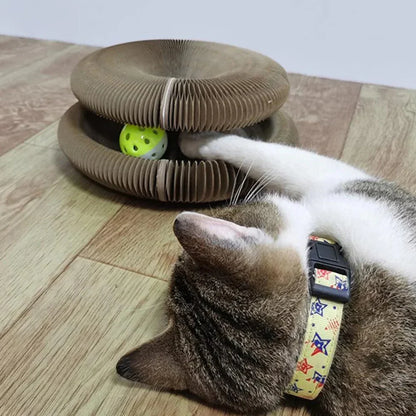 Exciting Play Experience for Your Cat – FelineJoy Sphere