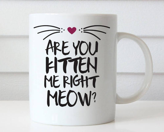 Are You Kitten Me Right Now? Ceramic Coffee Mug