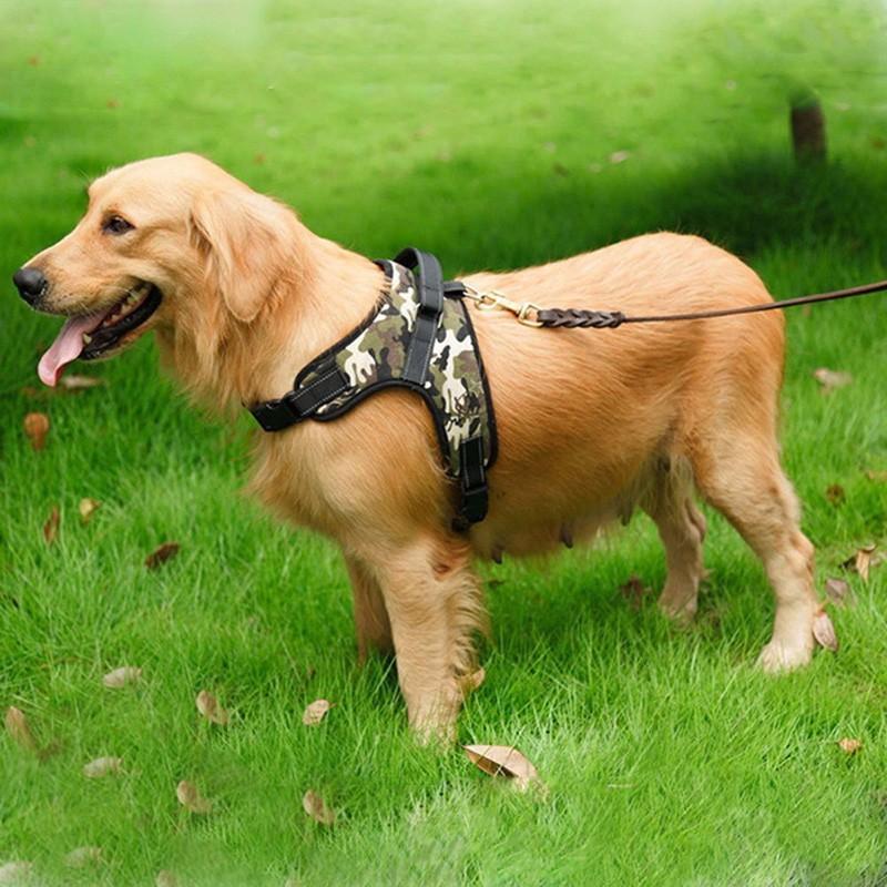 Adjustable Dog Harness for Pets