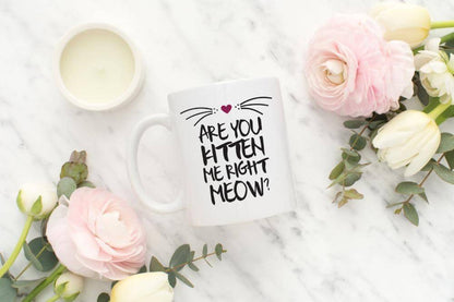 Are You Kitten Me Right Now? Ceramic Coffee Mug