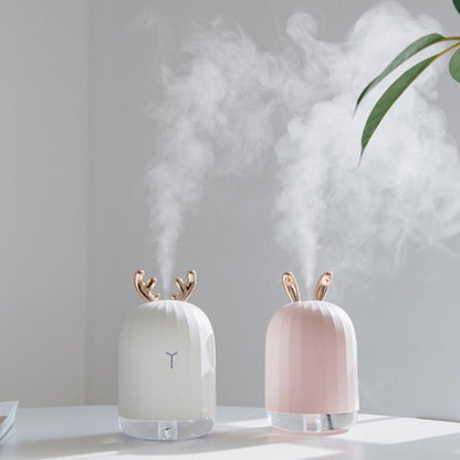 Essential Oil Diffuser for Aromatherapy
