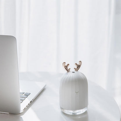 Essential Oil Diffuser for Aromatherapy