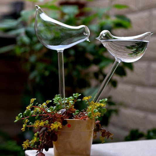 Automatic Drip Watering Planter for Birds