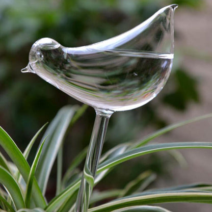 Automatic Drip Watering Planter for Birds