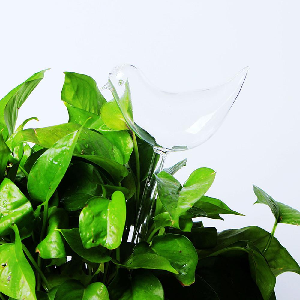Automatic Drip Watering Planter for Birds
