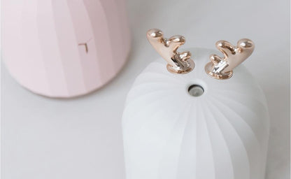 Essential Oil Diffuser for Aromatherapy