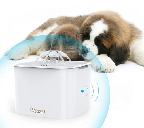Pet Drinking Fountain with Automatic Water Dispenser