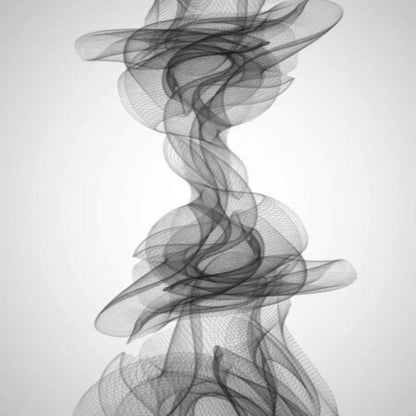Elegant Monochrome Abstract Canvas Art for Modern Spaces